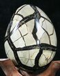 Septarian Dragon Egg Geode - Black Calcite Crystals #33980-3